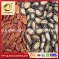 Hot Sales and Best Taste Watermelon Seeds